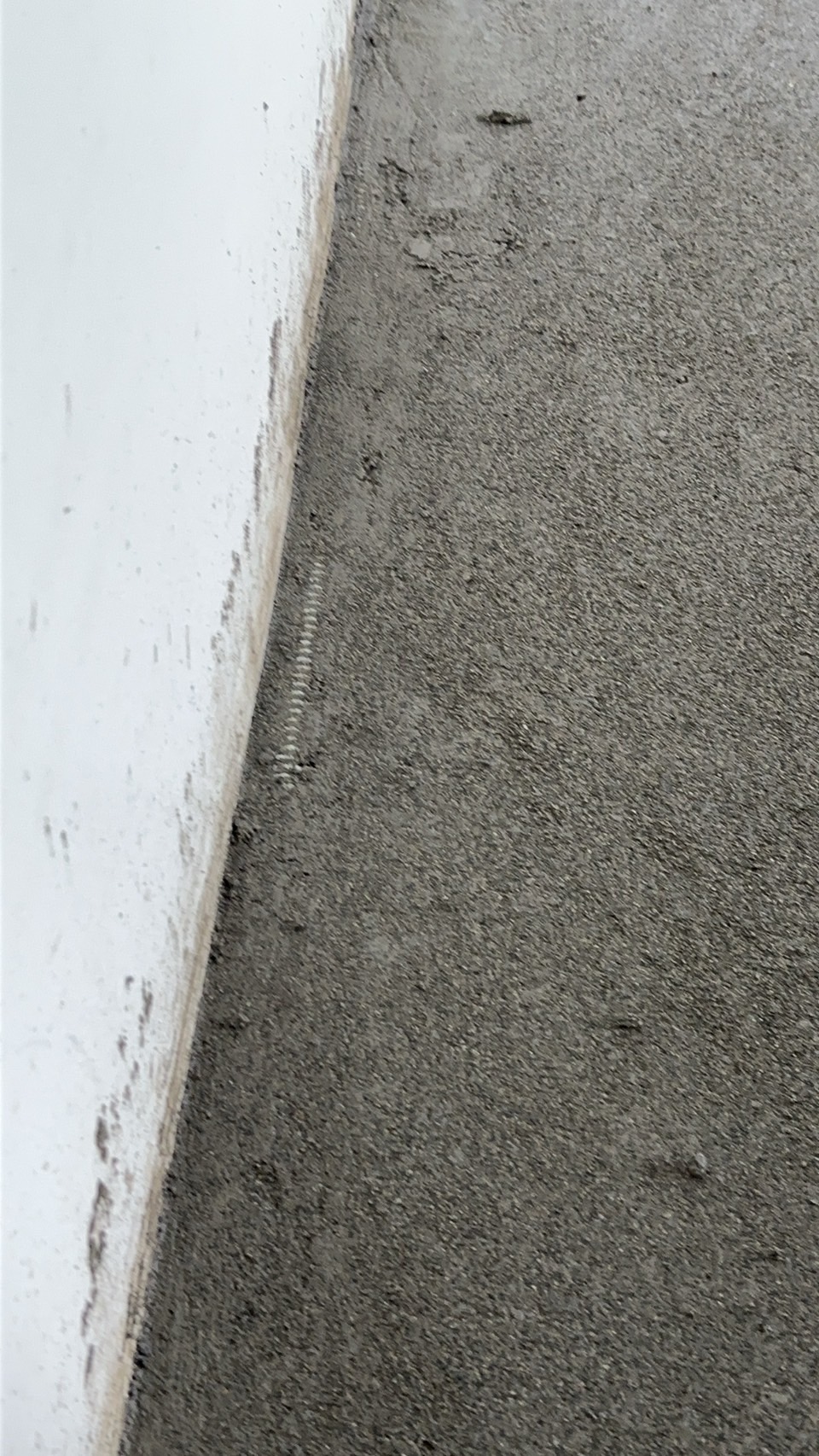 蘆竹機捷二段地磚鋪設