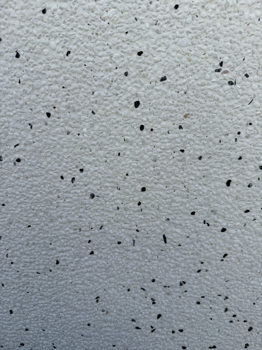 桃園車庫全抿石工程